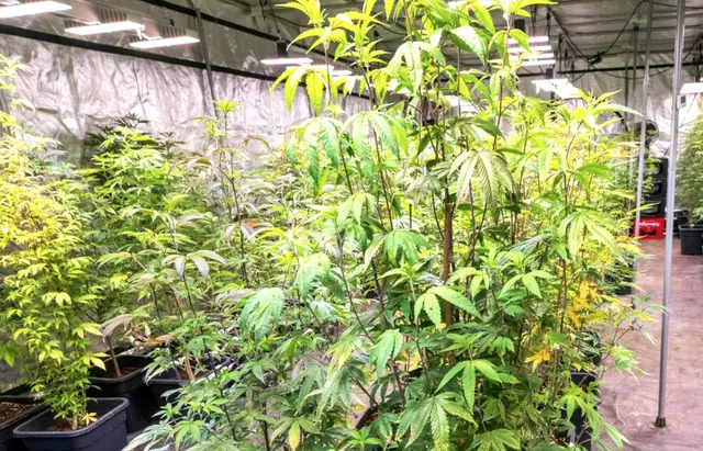 (Symbolbild) | Foto: © Peter Kneffel/dpa