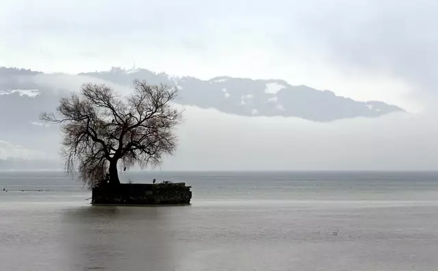 So sah die Insel noch vor rund 15 Jahren aus. Die Stadt will der Hoy zu alter Schönheit verhelfen. | Foto: Karl-Josef Hildenbrand/dpa (Archivbild)