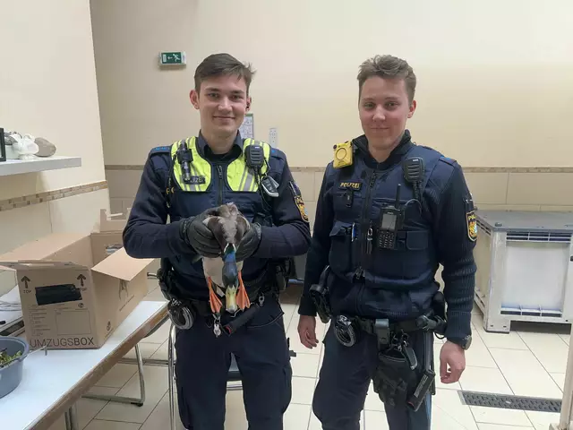 Die gerettete Ente kam ins Tierheim. | Foto: Polizeipräsidium Mittelfranken