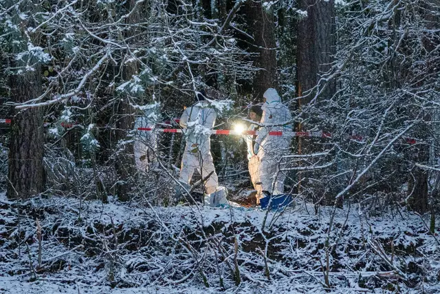 In diesem Waldstück fanden die Ermittler die Leiche der 49-Jährigen. (Archivbild) | Foto: Lars Haubner/NEWS5/dpa