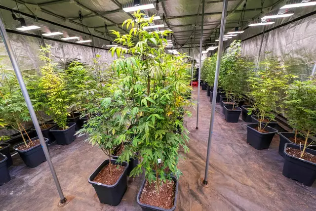 28 Antragsteller warten in Bayern auf eine Genehmigung. (Archivbild) | Foto: Peter Kneffel/dpa