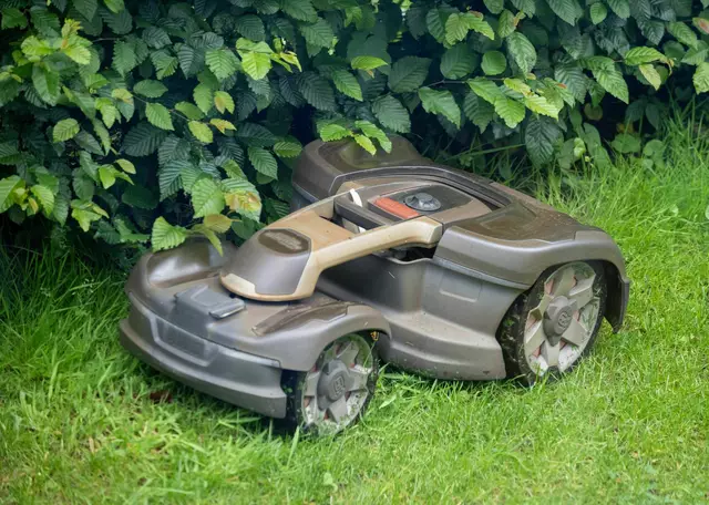 Auch ein Mähroboter sollte bei der Aktion «mähfreier Mai» nicht eingesetzt werden. (Archivbild) | Foto: Monika Skolimowska/dpa