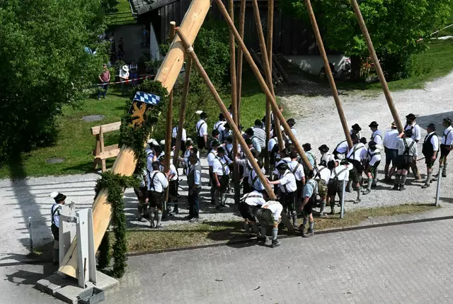 Das Aufstellen des Maibaums nach traditioneller Art fordert Muskelkraft.  | Foto: Felix Hörhager/dpa (Archivbild)