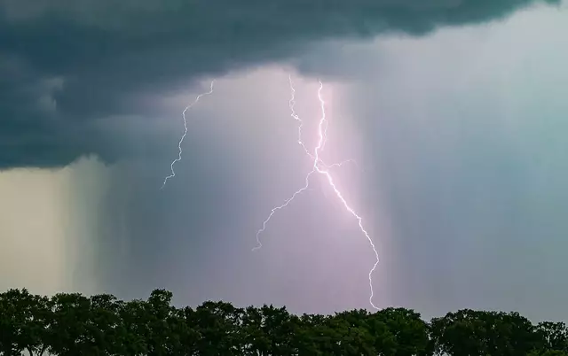 (Symbolbild) | Foto: © Patrick Pleul/dpa