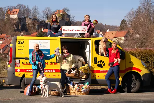 Die Tierhilfe Franken vermittelt seit 20 Jahren vor allem Hunde und Katzen an tierliebe Herrchen, Frauchen und Familien. | Foto: Tierhilfe Franken