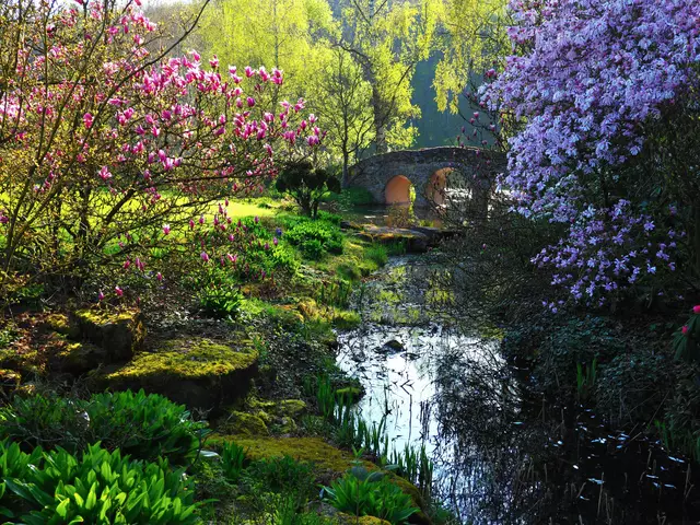 Schlosspark Dennenlohe, Fränkisches Seenland.

 | Foto: © Focriba