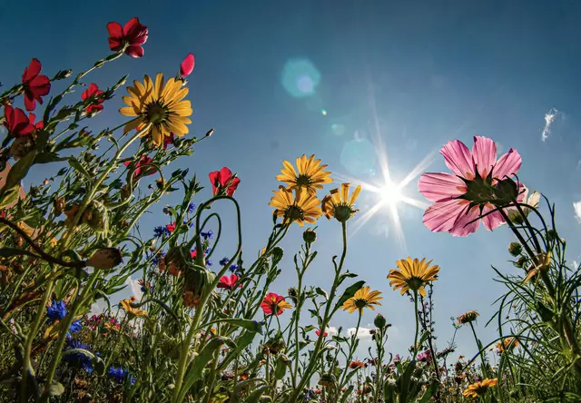(Symbolbild) | Foto: © Frank Rumpenhorst/dpa