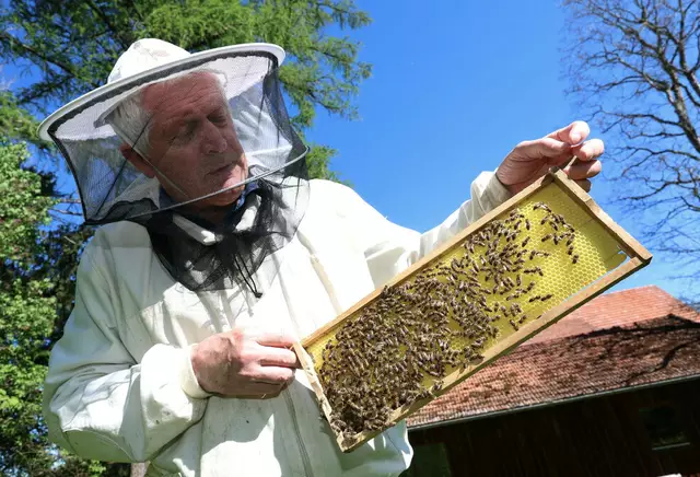 (Symbolbild) | Foto: © Karl-Josef Hildenbrand/dpa