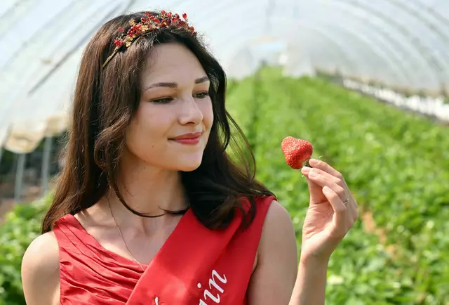 Fruchtiges snacken die Menschen in Deutschland gern zwischendurch. | Foto: Archivfoto: Martin Schutt/dpa