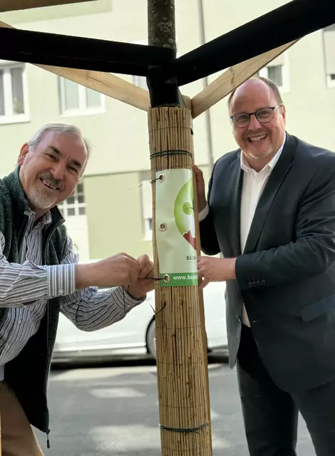 Die persönlichen Spendenschilder werden von Mathias Schmidt, Vorstandsvorsitzender der „Bäume für Nürnberg Stiftung“, und Bürgermeister Christian Vogel selbst angebracht (v.l.).
 | Foto: Kathrin Lehnerer / Stadt Nürnberg