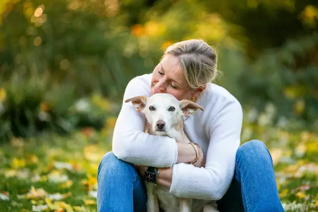34 Millionen Haustiere gibt es in Deutschland - am beliebtesten ist die Katze, dicht gefolgt vom Hund. | Foto: Anja Wilbs/ZDF/dpa (Symbolfoto)