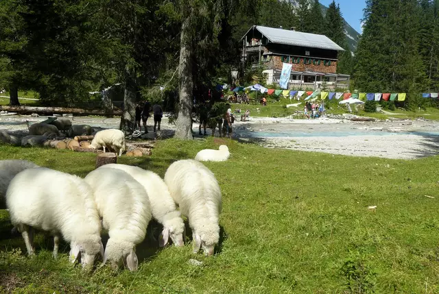 An manchen Wochenenden wird es schon eng auf den Berghütten. | Foto: Angelika Warmuth/dpa (Archivbild)