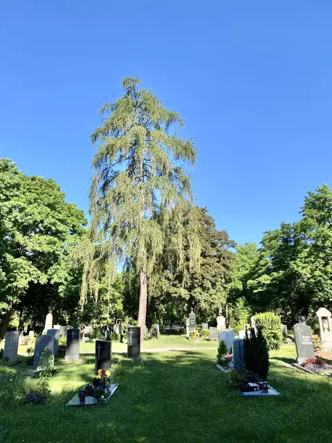 Friedhofsbesucher müssen in Nürnberg (wie hier auf dem Westfriedhof) bis auf weiteres auf Grablichter mit offener Flamme verzichten.  | Foto: Nicole Fuchsbauer