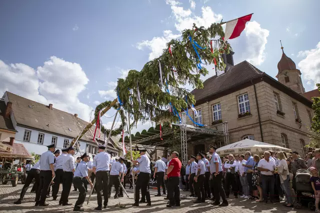 Am Samstag wird der Kirchweihbaum aufgestellt. | Foto: Tom Schrader