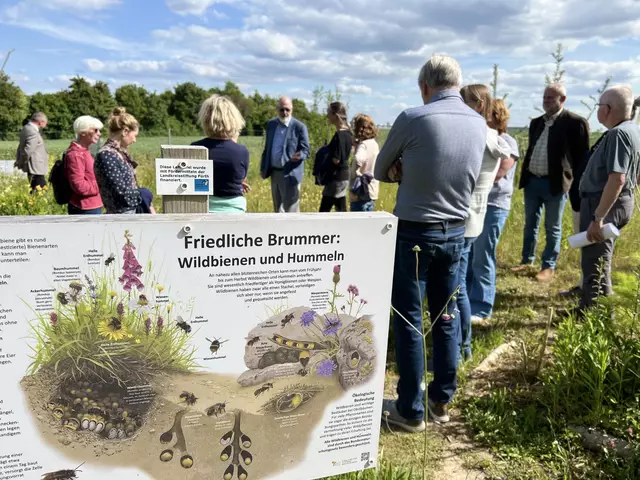 Der Garten bietet eine Vielzahl von Nutzungsmöglichkeiten: Von gemeinschaftlichem Gärtnern in verschiedenen Beeten bis hin zu Bildungsangeboten für Kinder und Familien. | Foto: Roland Beck