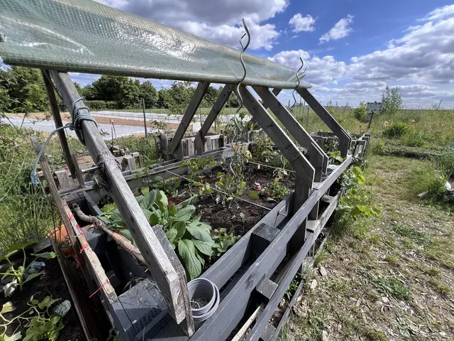 Der Garten bietet eine Vielzahl von Nutzungsmöglichkeiten: Von gemeinschaftlichem Gärtnern in verschiedenen Beeten bis hin zu Bildungsangeboten für Kinder und Familien. | Foto: Roland Beck