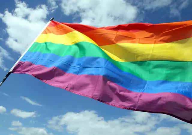Die sogenannte Regenbogen-Flagge ist eine Symbol auf vielen CSD-Demos. | Foto: Wolfgang Kumm/dpa (Symbolbild)