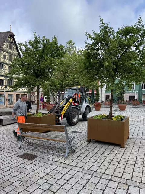 Am Marktplatz wurden die Pflanztröge ausgetauscht. Die Kornelkirsche soll Schatten spenden.  | Foto: Stadt Roth