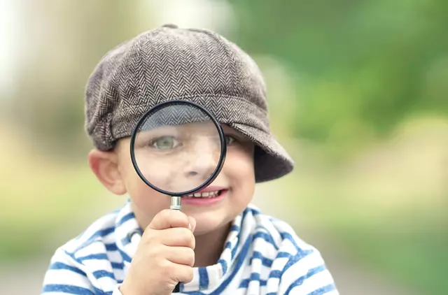 (Symbolbild) | Foto: © Jenny Sturm/AdobeStock