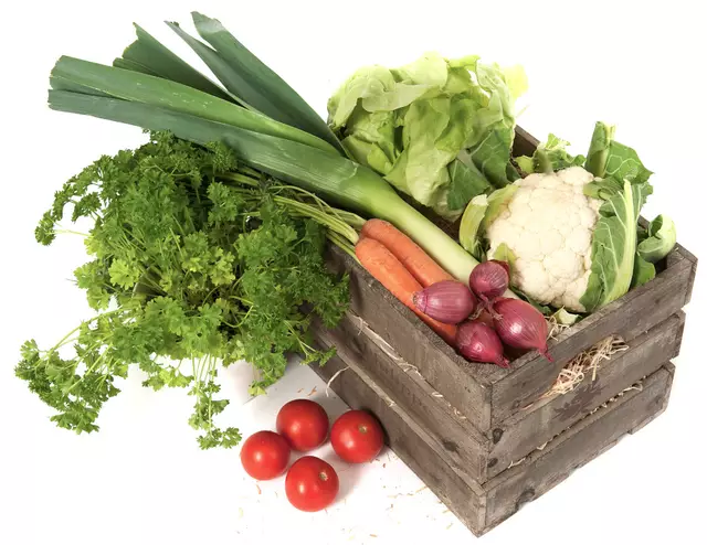 (Symbolbild) | Foto: © Werner Fellner/AdobeStock