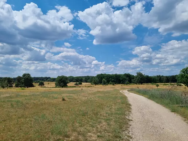 Vom Truppenübungsplatz zum Landschaftsschutzgebiet. | Foto: LRA