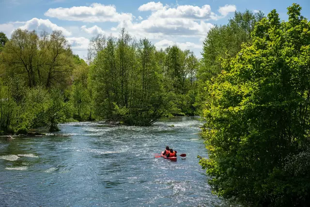 Um die Kanufahrten auf der Wiesent gibt es seit Jahren einen Rechtsstreit. Wie sehr ist die Natur und die Tierwelt durch die Kanufahrer und Paddler belastet?  | Foto: Nicolas Armer/dpa