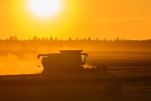 Am Dienstag kommt Deutschland dem Höhepunkt der laufenden Hitzewelle immer näher. | Foto: Patrick Pleul/dpa