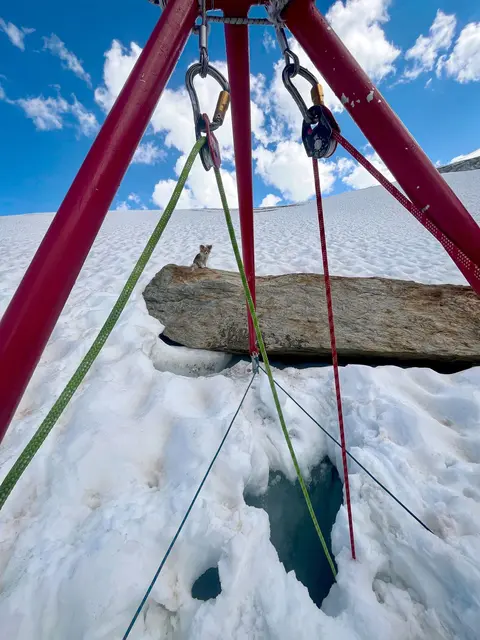 Nerven wie Drahtseile: Chihuahua hilft Rettern bei der Bergung seines Herrchens aus einer Gletscherspalte. | Foto: /Air Zermatt/dpa