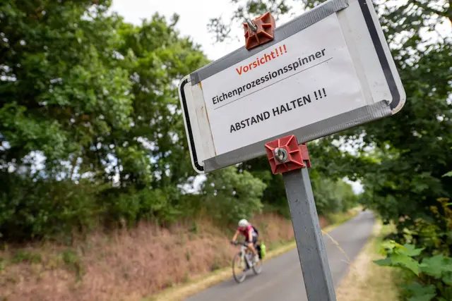 In befallenen Gebieten werden Warnschilder aufgestellt. (Archivbild) | Foto: Pia Bayer/dpa