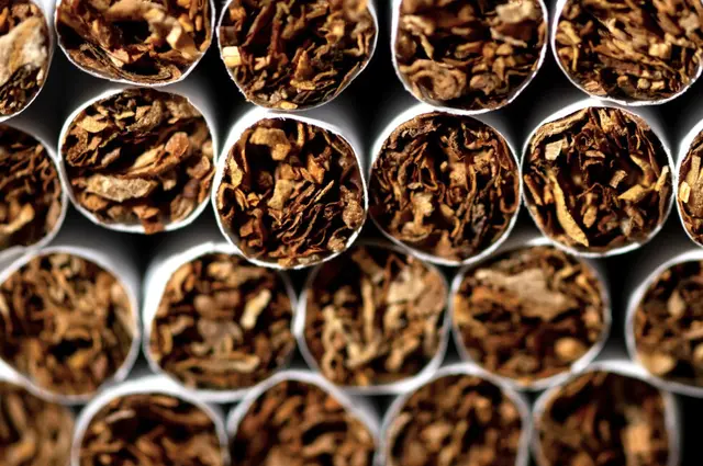 (Symbolbild) | Foto: © Sven Hoppe/dpa