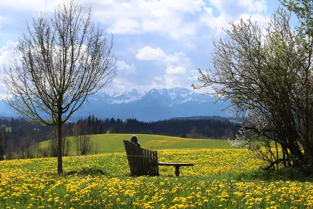 Saftige Wiesen, imposante Berge – mitunter zeigt sich Bayern wie aus dem Bilderbuch.  | Foto: Karl-Josef Hildenbrand/dpa (Archivbild)