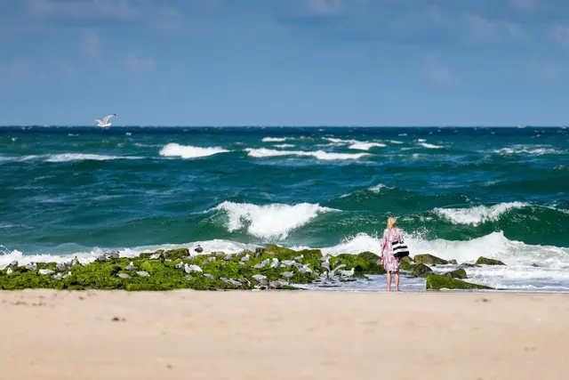 Der Kontakt mit blühenden Blaualgen kann unangenehme Folgen haben - wie Übelkeit, Fieber oder gar Atemnot. Zu Beginn des Sommers ist das meist noch kein Problem. | Foto: Stefan Sauer/dpa (Symbolbild)