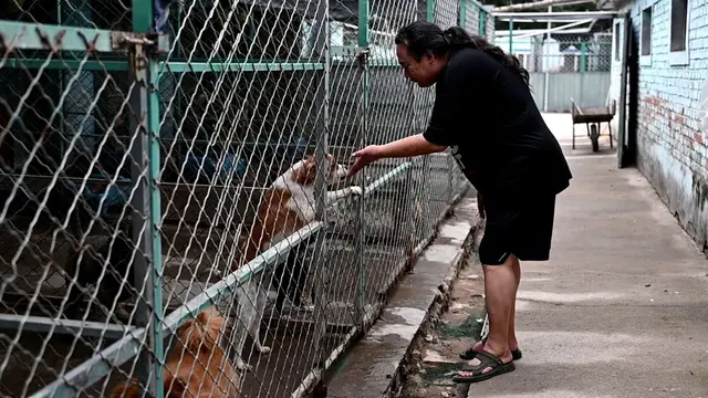 Zhao Xinqi betreibt einen Hof mit 500 Hunden - viele davon wurden gerettet. | Foto: Johannes Neudecker/dpa
