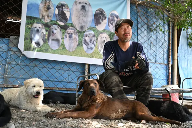 Huzi hatte zehn Jahre in Peking gearbeitet, bevor er entschied, sich nur noch um Hunde zu kümmern.  | Foto: Johannes Neudecker/dpa