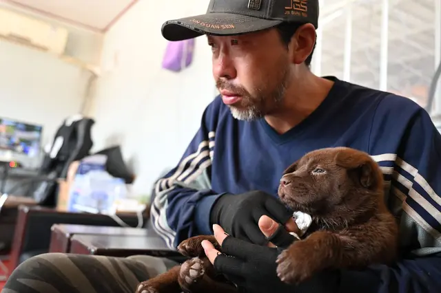 Hunderetter Huzi verarztet einen Welpen, der sich beim Spielen verletzt hat. | Foto: Johannes Neudecker/dpa