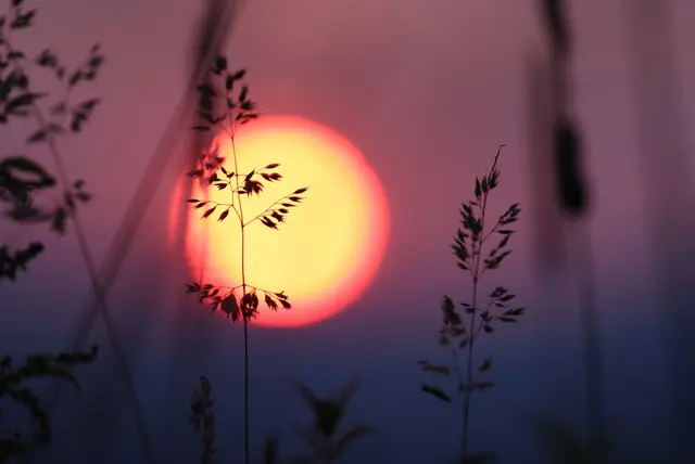 (Symbolbild) | Foto: © Karl-Josef Hildenbrand/dpa