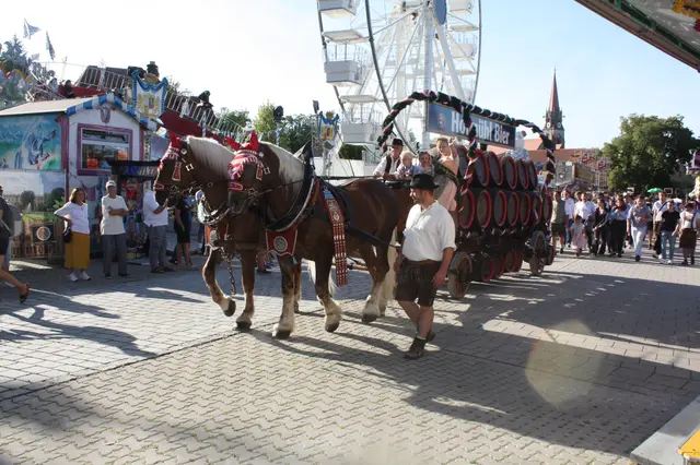 Das Fuhrwerk der Hofmühl Brauerei beim Einzug auf dem Festplatz im vergangenen Jahr. | Foto: Victor Schlampp