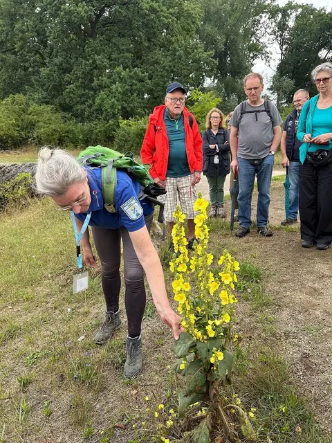 Erste Station war der Hainberg. Hier führte Marion Strupf durch das Naturschutzgebiet. | Foto: Landkreis Fürth