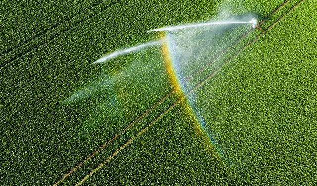 Nicht einmal fünf Prozent der landwirtschaftlichen Fläche kann bewässert werden. | Foto: Julian Stratenschulte/dpa