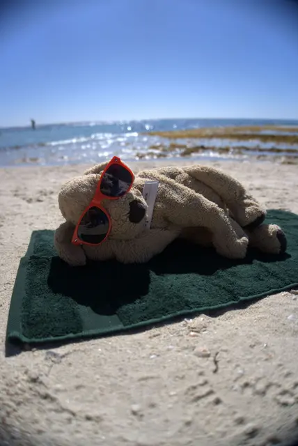 Auch am Strand durfte sich Jack schon sonnen. | Foto: Holiday Inn Perth City Centre/dpa