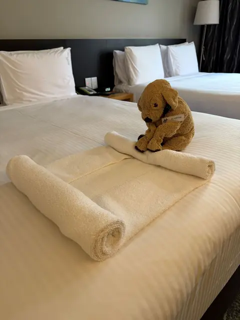Der kleine Stoffhund Jack macht sich auch im Housekeeping nützlich, wie Hotelmitarbeiter in Posts zeigen.
 | Foto: Holiday Inn Perth City Centre/dpa