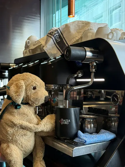 Auch die Espresso-Maschine weiß Jack bereits zu bedienen, sagt die Belegschaft. | Foto: Holiday Inn Perth City Centre/dpa