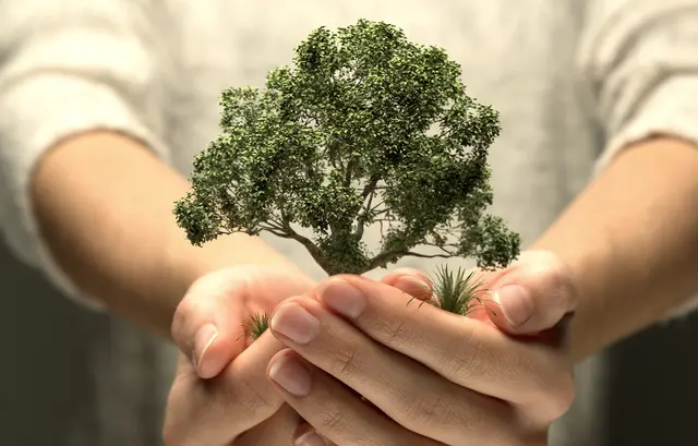 Symbolfoto: © lassedesignen/AdobeStock