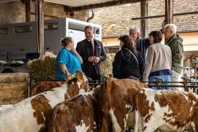 Heike Vogel beschreibt ihre Tätigkeitsfelder als Dorfhelferin in anderen Betrieben. Wenn dort Not am Mann ist, springt sie ein, füttert die Tiere oder hilft im Haushalt. | Foto: Landkreis Fürth