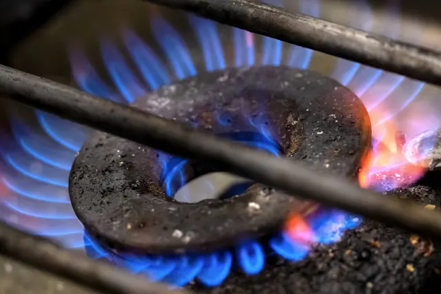 (Symbolbild) | Foto: © Sven Hoppe/dpa