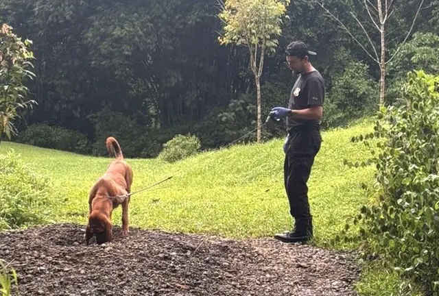 Die Ermittler entdeckten die Leichen mit Hilfe eines Spürhunds. | Foto: ---/OIJ Costa Rica/dpa