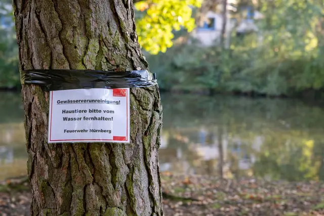 Am Langwassersee in Nürnberg gab es ein bisher rätselhaftes Fischsterben. | Foto: Daniel Karmann/dpa