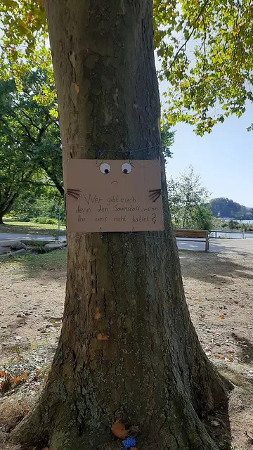 Schulkinder haben einen "sprechenden Baum" gestaltet. | Foto: Energie- und Umweltstation Nürnberg / Stadt Nürnberg