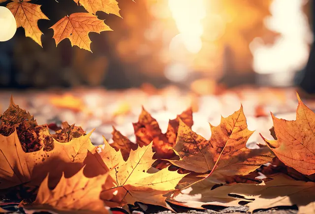 (Symbolbild) | Foto: © Eduardo/AdobeStock