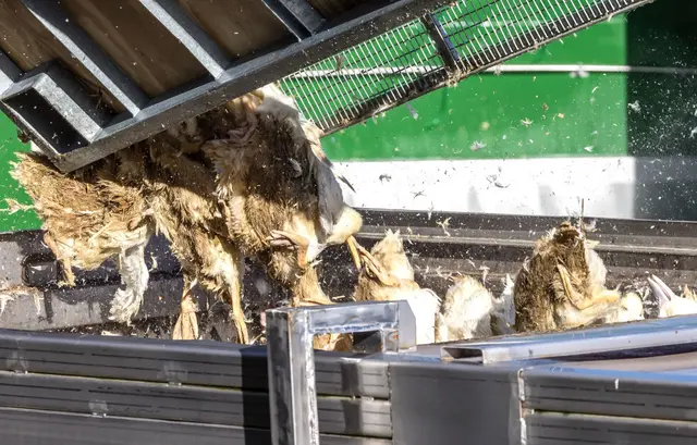 (Symbolbild) | Foto: © Frank Hammerschmidt/dpa